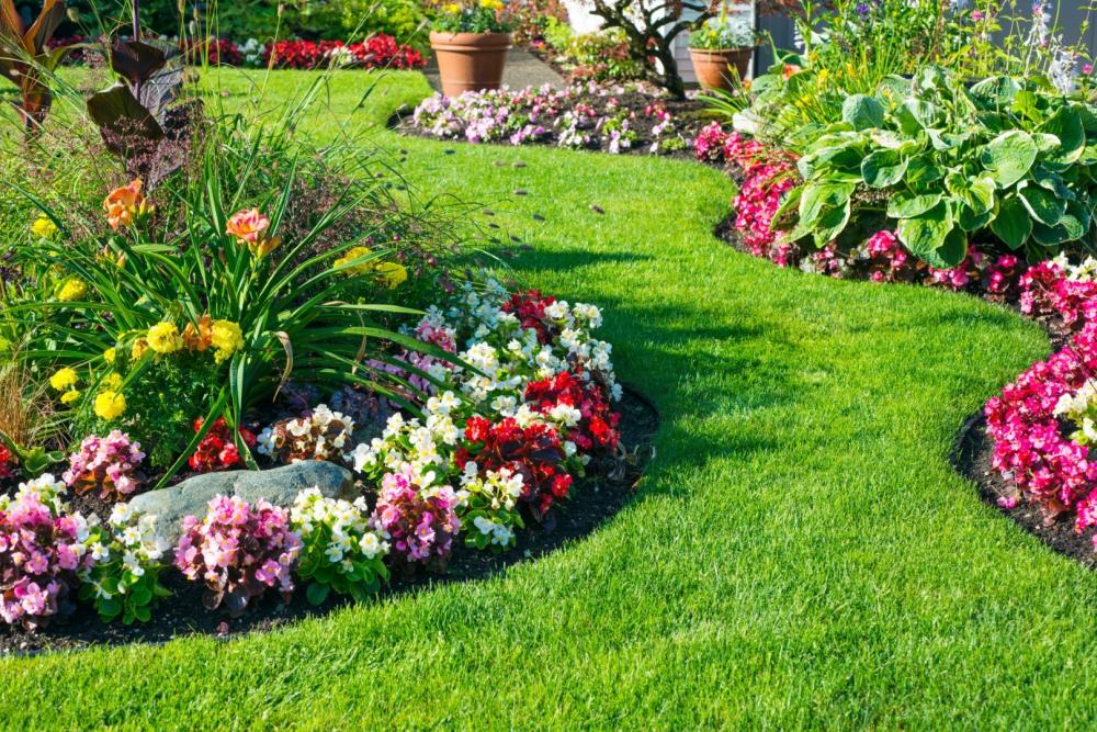 Création de jardin