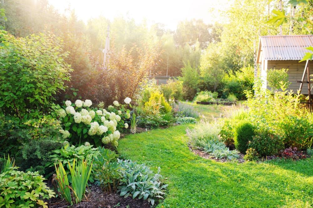 Création de jardin